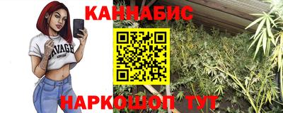 прущие грибы Лесосибирск