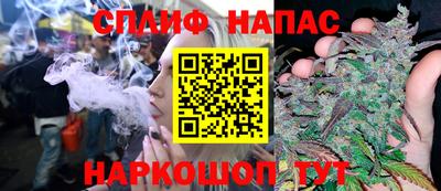 прущие грибы Лесосибирск