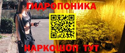 прущие грибы Лесосибирск