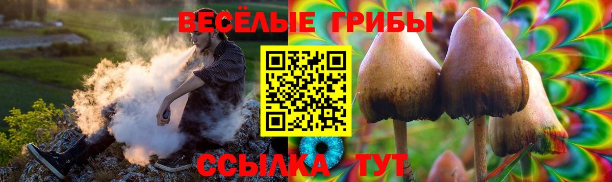 Алапаевск  Псилоцибиновые грибы ЛСД  дарнет шоп  Вход с VPN 